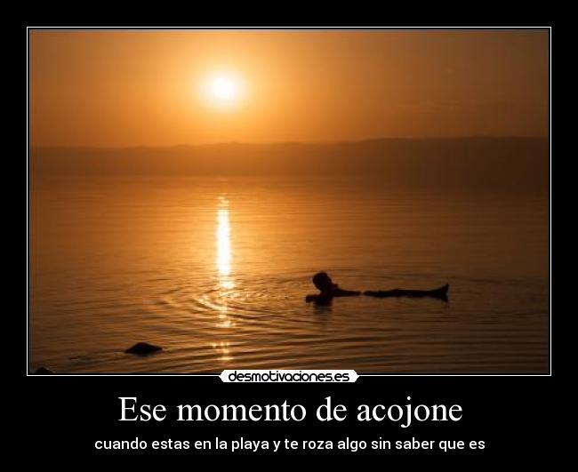 Ese momento de acojone - cuando estas en la playa y te roza algo sin saber que es