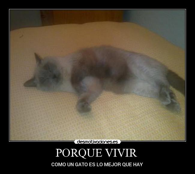 PORQUE VIVIR -