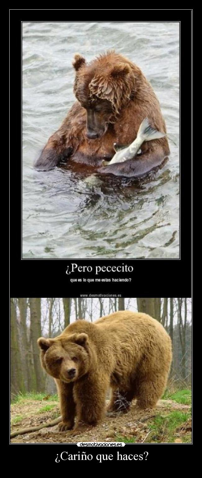 ¿Cariño que haces? -