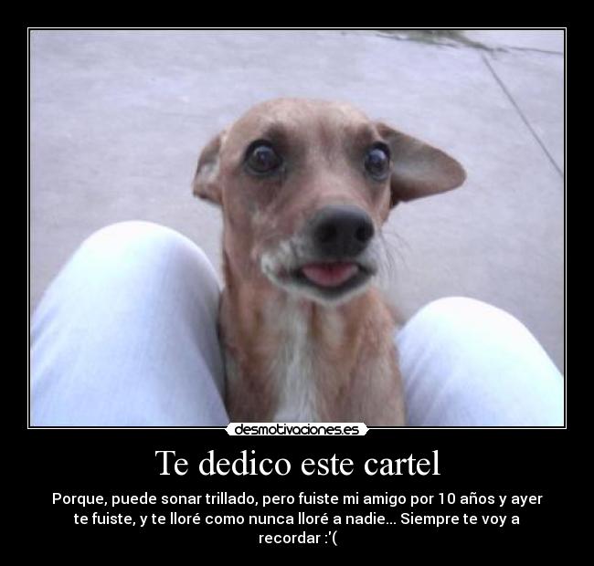 Te dedico este cartel -