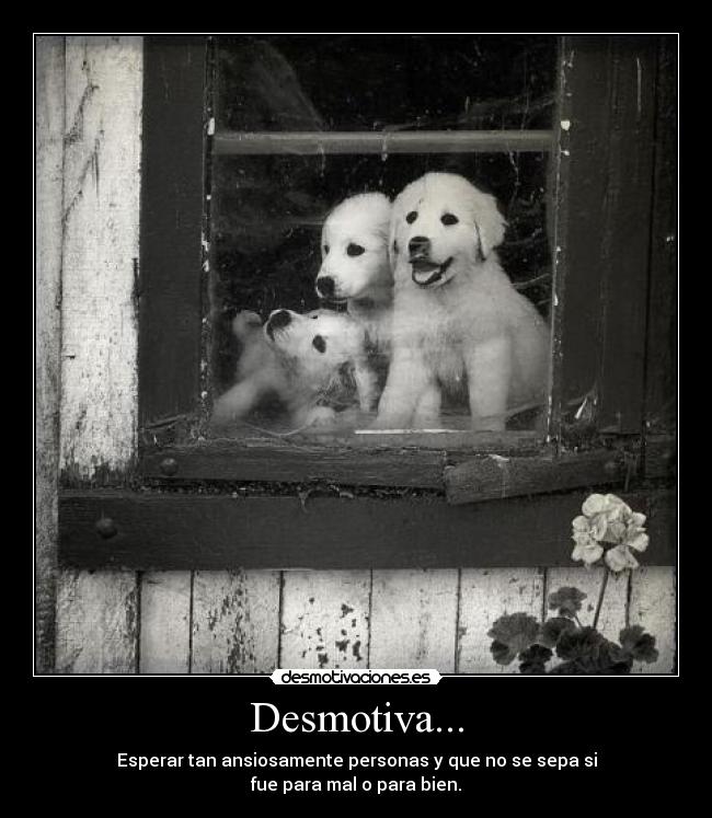 Desmotiva... - 