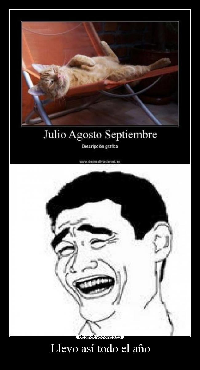 Llevo así todo el año - 