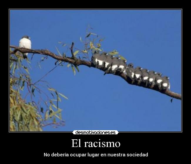 El racismo - 