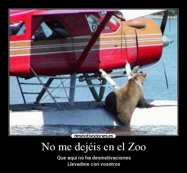No me dejéis en el Zoo - Que aquí no ha desmotivaciones
Llevadme con vosotros