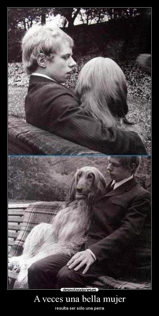 carteles mujer mgc776 desmotivaciones