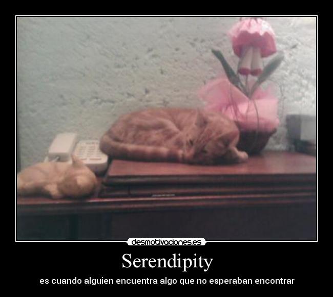carteles gatosserendipity lol desmotivaciones