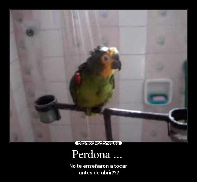 Perdona ...  - 