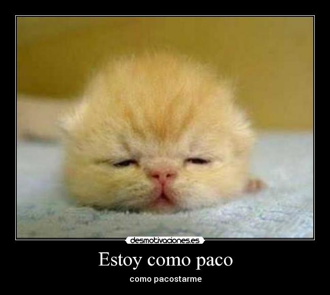 Estoy como paco -