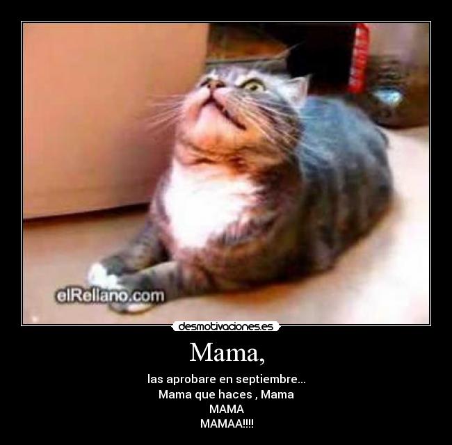 Mama, - las aprobare en septiembre...
Mama que haces , Mama
MAMA
MAMAA!!!!