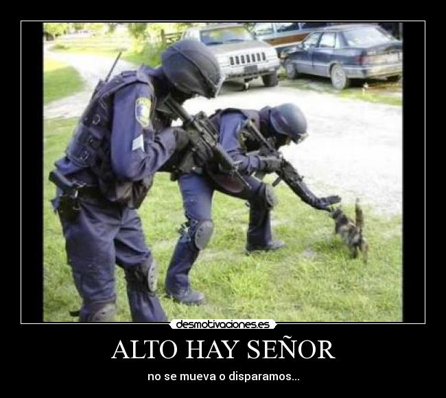ALTO HAY SEÑOR -