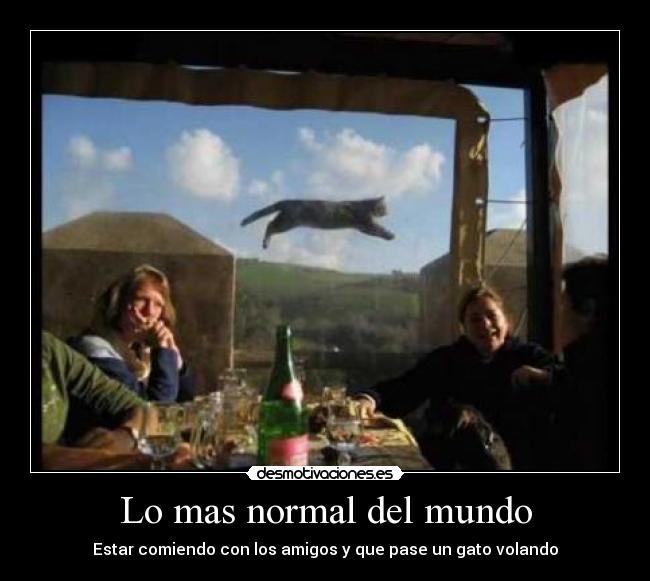 Lo mas normal del mundo -