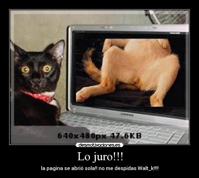 Lo juro!!! - 