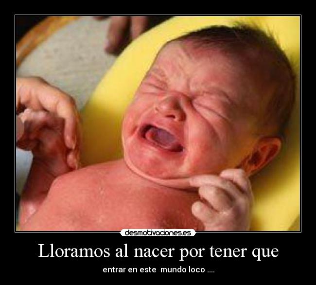 Lloramos al nacer por tener que - entrar en este mundo loco ....