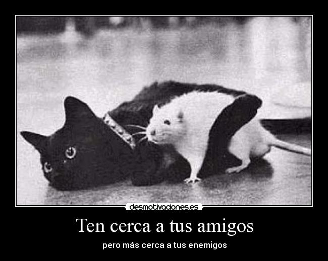 Ten cerca a tus amigos -