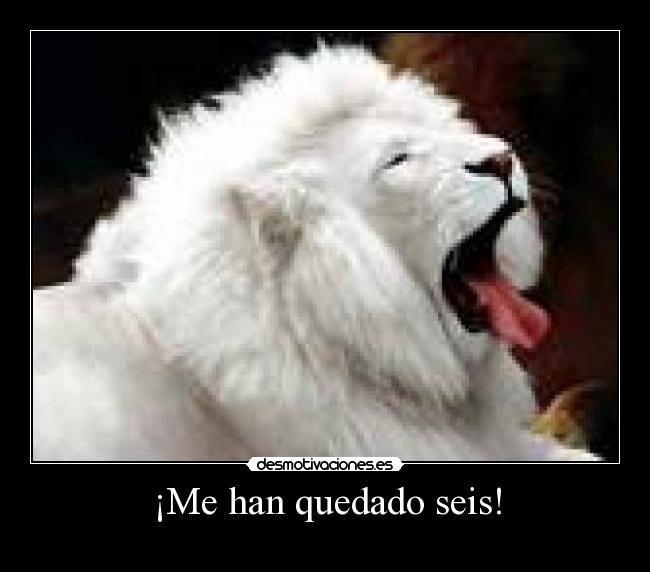 ¡Me han quedado seis! - 
