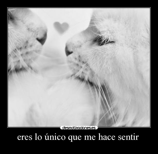 eres lo único que me hace sentir  - 