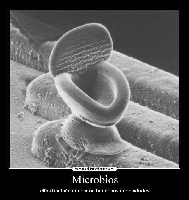 Microbios - ellos también necesitan hacer sus necesidades