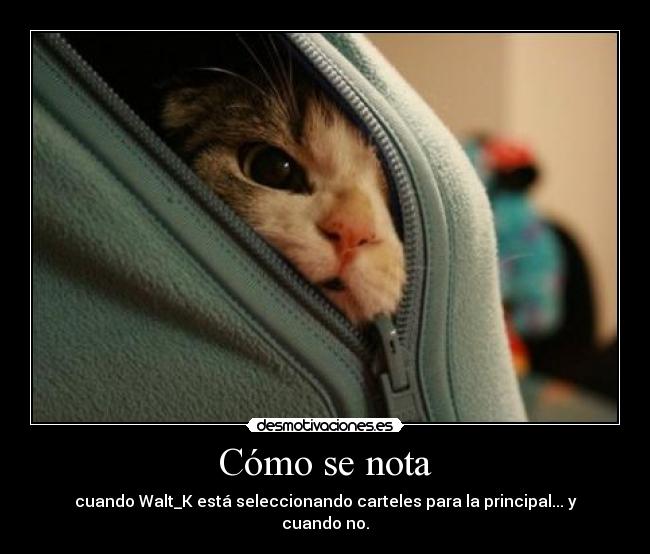 Cómo se nota - cuando Walt_K está seleccionando carteles para la principal... y cuando no.