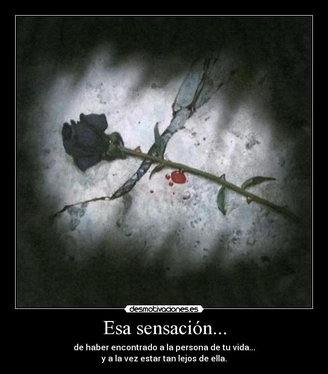 Esa sensación... - de haber encontrado a la persona de tu vida...
y a la vez estar tan lejos de ella.