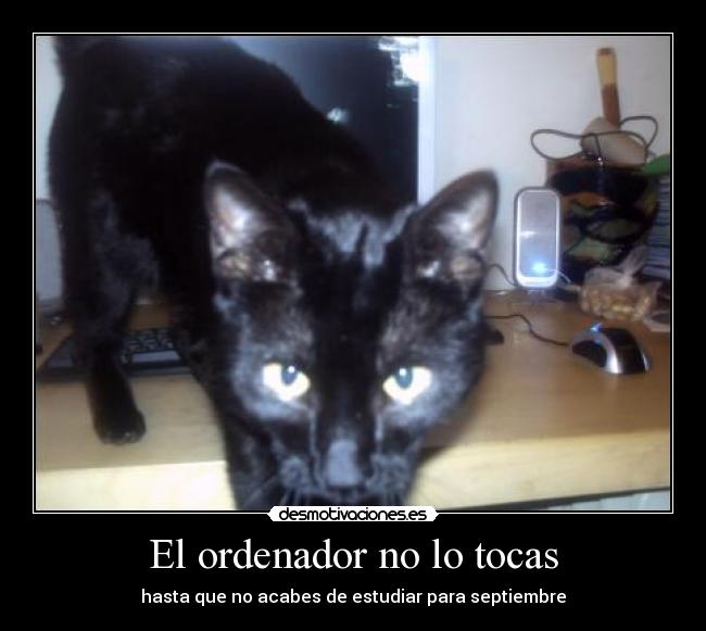 El ordenador no lo tocas -