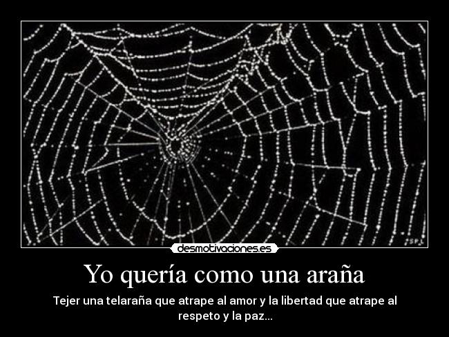 Yo quería como una araña - 
