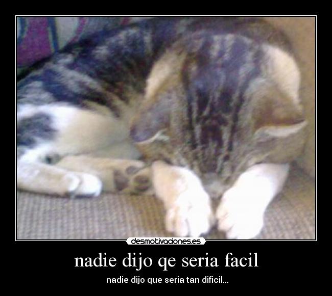 nadie dijo qe seria facil - nadie dijo que seria tan dificil...
