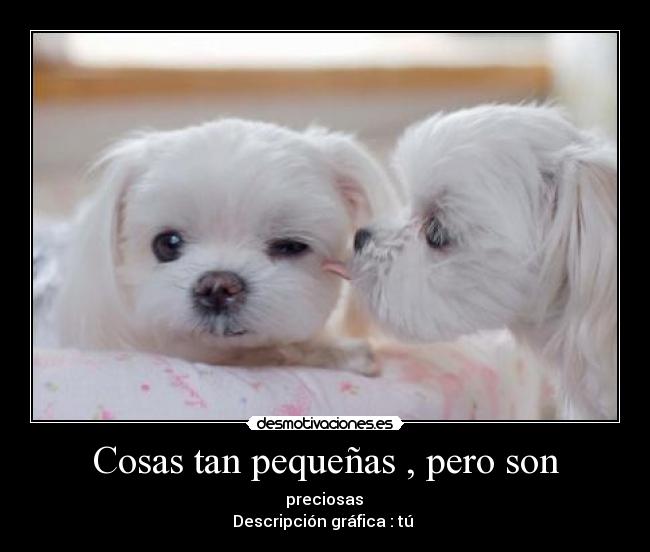 Cosas tan pequeñas , pero son -  preciosas 
Descripción gráfica : tú 