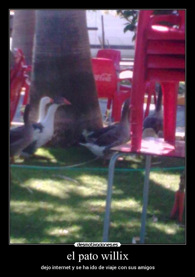 el pato willix -