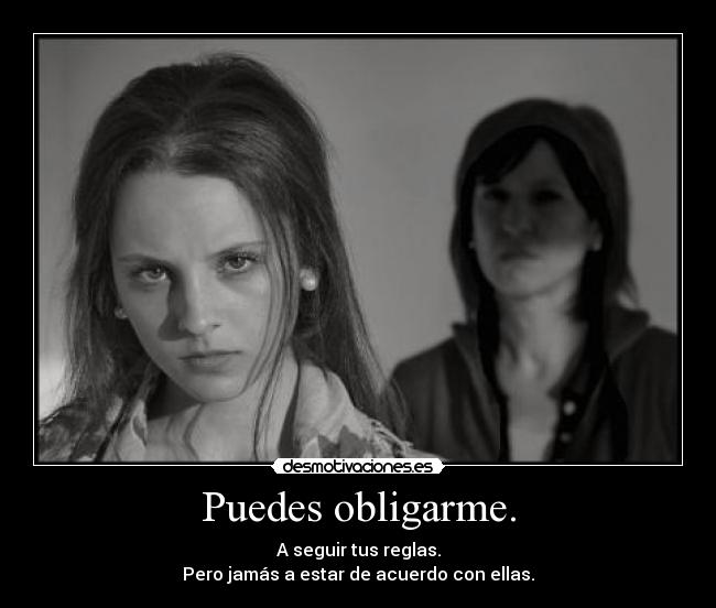 carteles dayana desmotivaciones