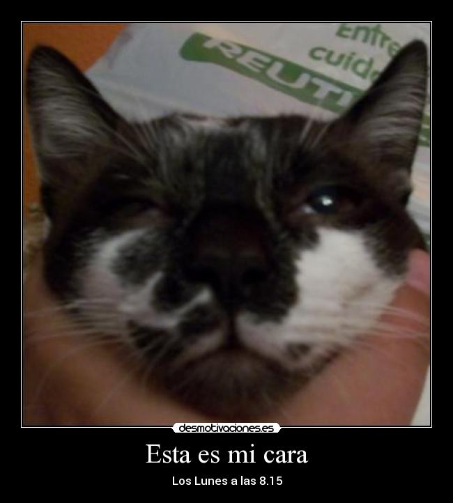 Esta es mi cara - Los Lunes a las 8.15