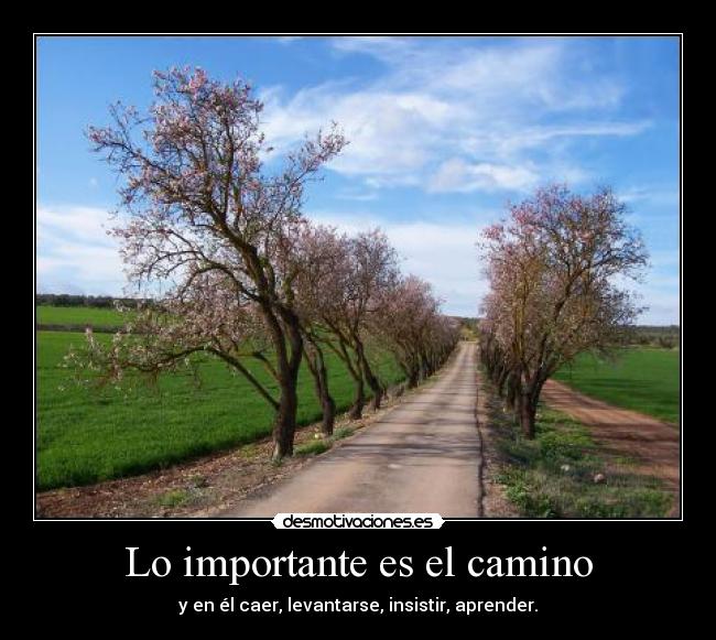 Lo importante es el camino - 