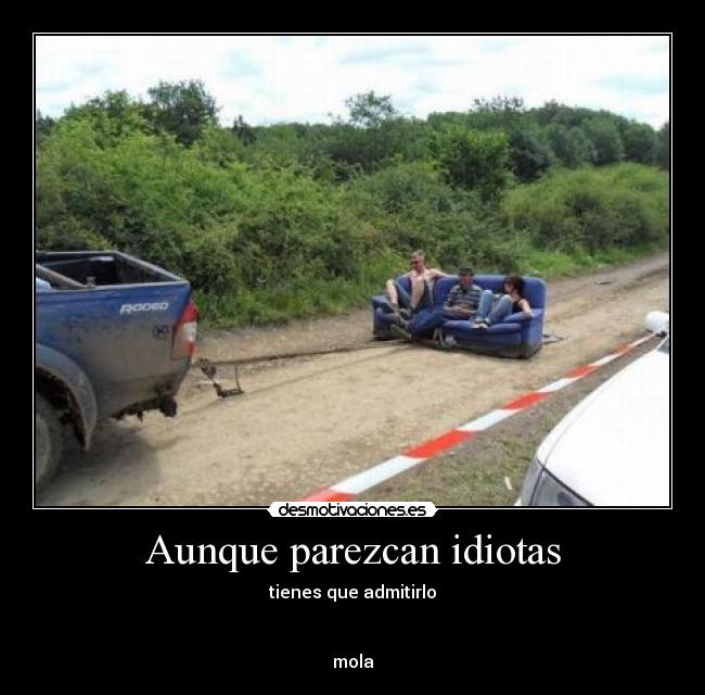 Aunque parezcan idiotas - tienes que admitirlo


mola