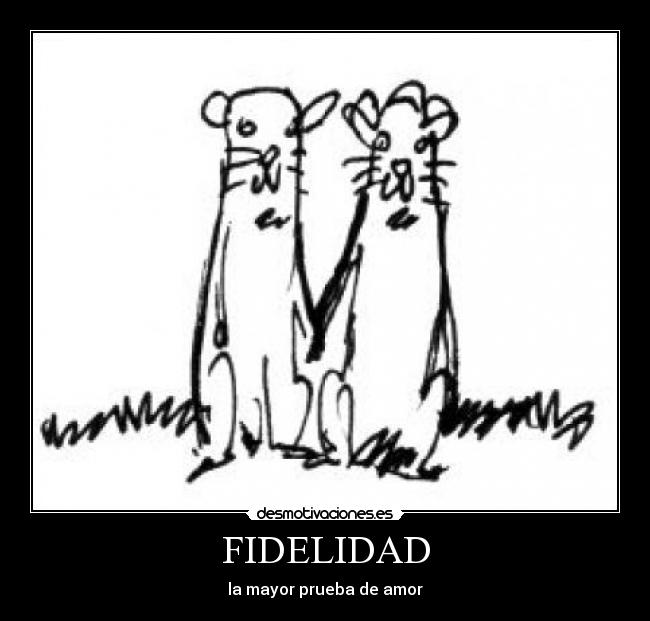 FIDELIDAD - la mayor prueba de amor