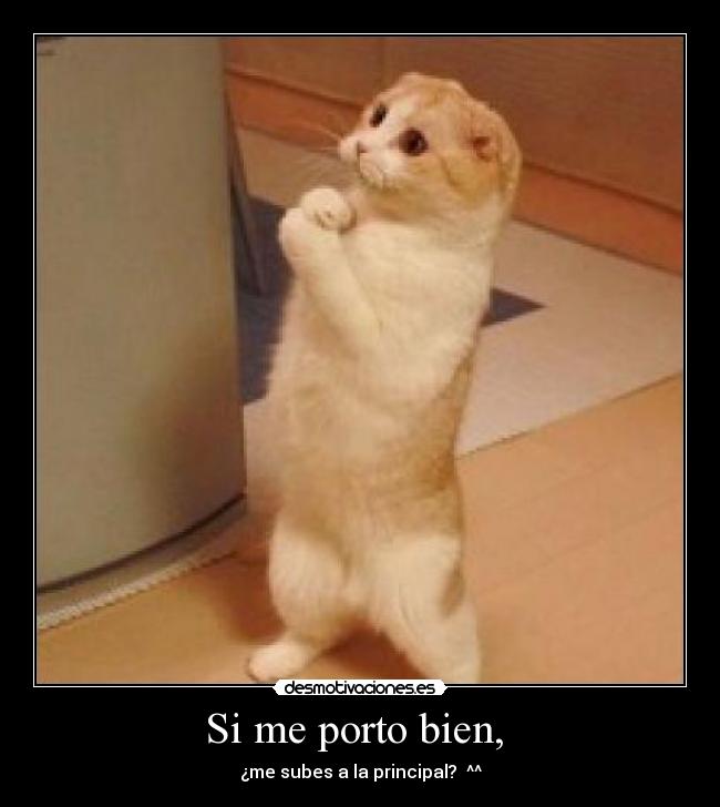 Si me porto bien, - ¿me subes a la principal? ^^