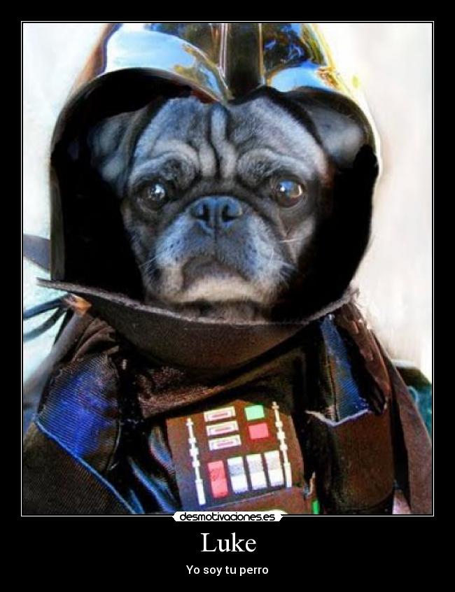 Luke - Yo soy tu perro