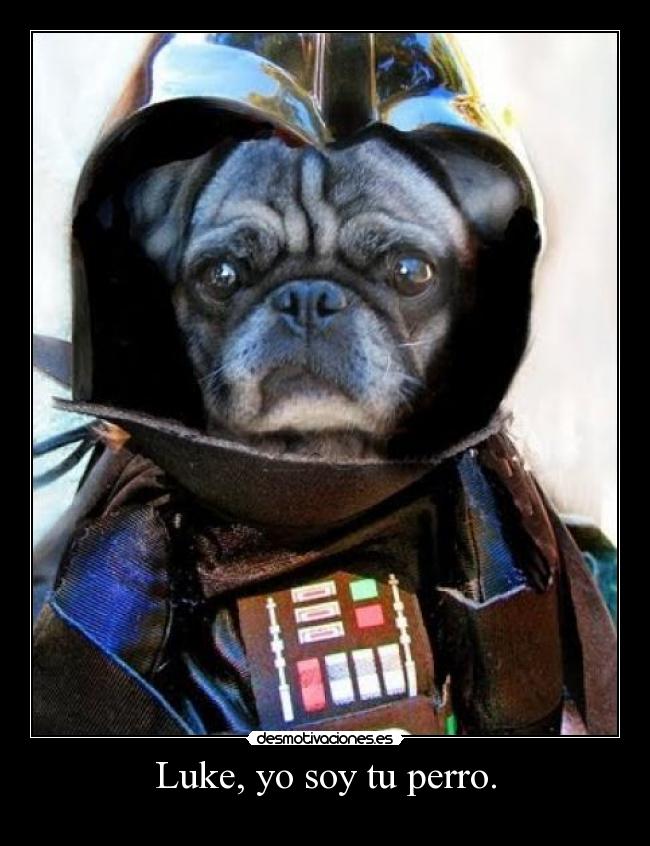 Luke, yo soy tu perro. - 