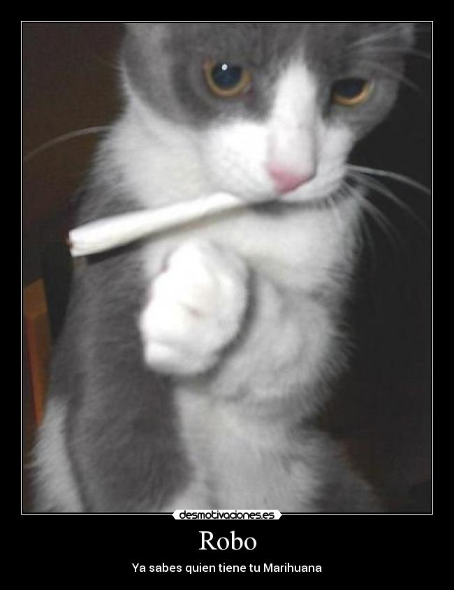 Robo - Ya sabes quien tiene tu Marihuana