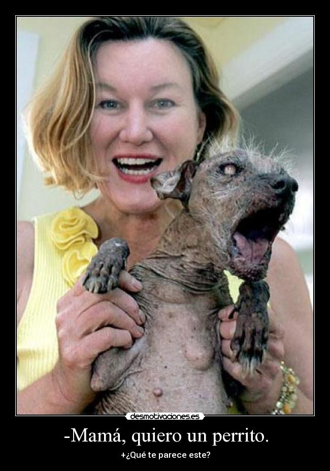 -Mamá, quiero un perrito. - +¿Qué te parece este?
