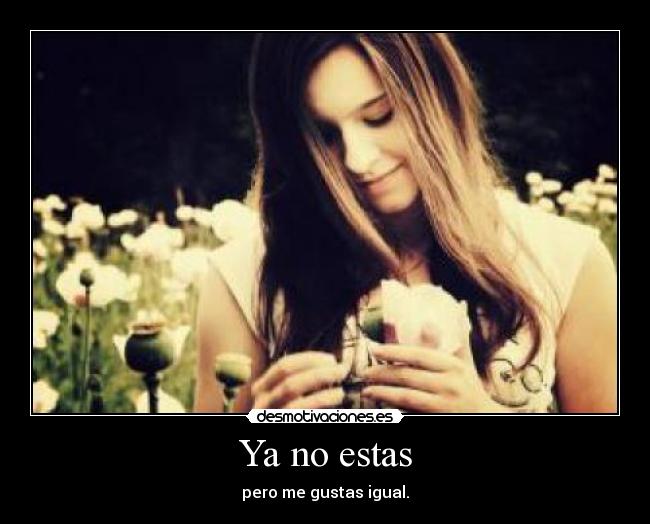 carteles arbol cancion trenes camiones tractores rock sentimientos sensaciones desmotivaciones