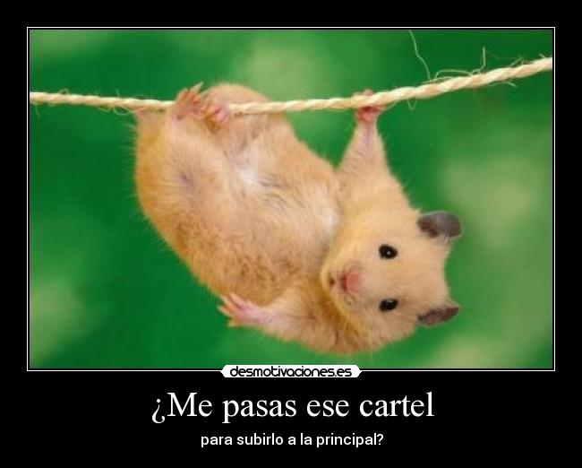 ¿Me pasas ese cartel - para subirlo a la principal?