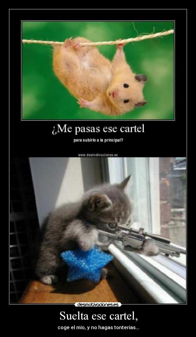 carteles gato desmotivaciones