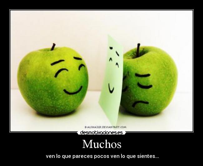 Muchos - 