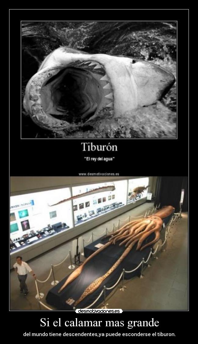 carteles fsffg desmotivaciones