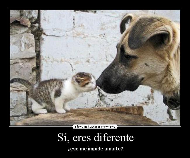 Sí, eres diferente - ¿eso me impide amarte?