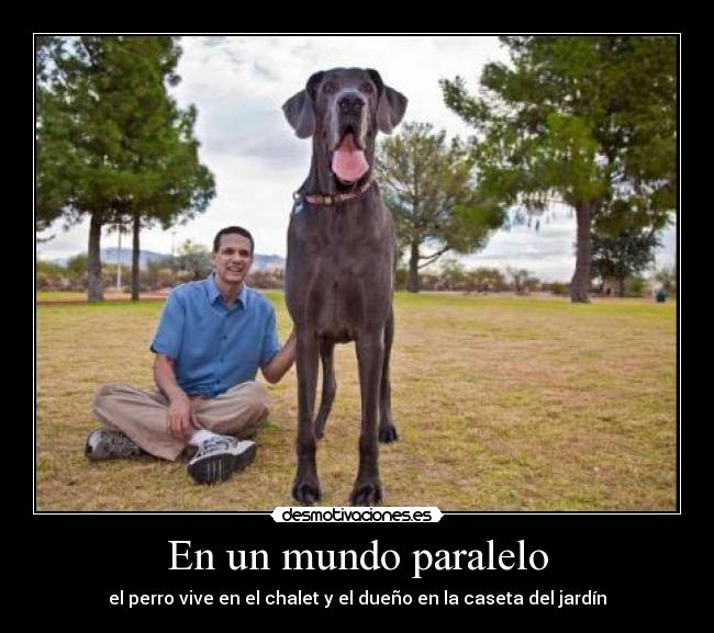 En un mundo paralelo -