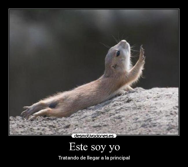 Este soy yo -