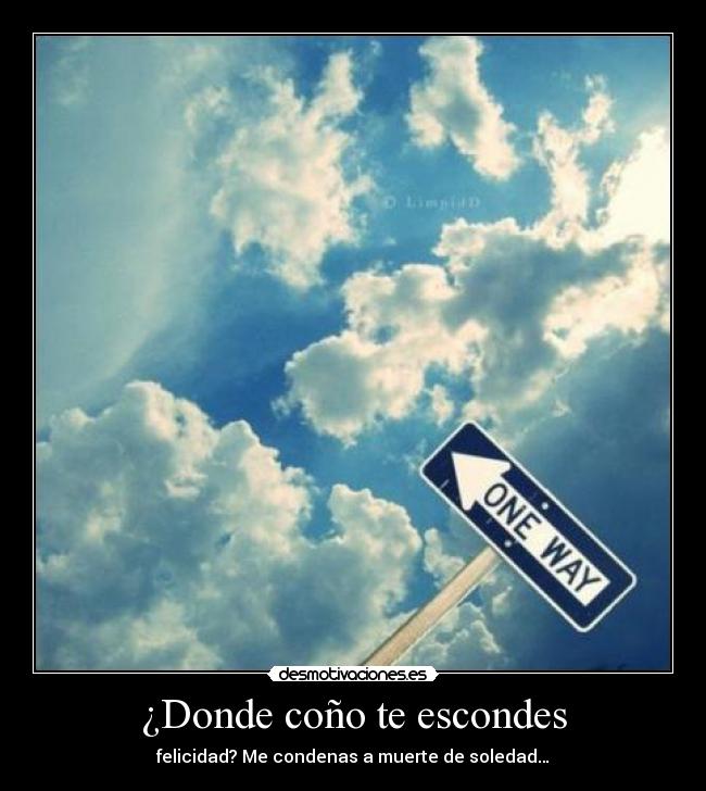 ¿Donde coño te escondes - 