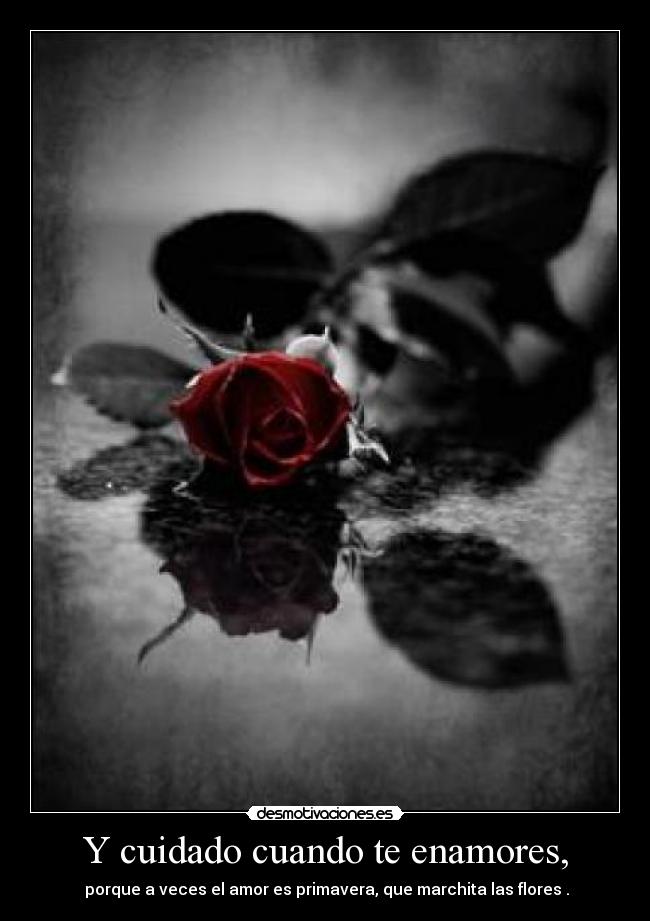 Y cuidado cuando te enamores, -  porque a veces el amor es primavera, que marchita las flores .