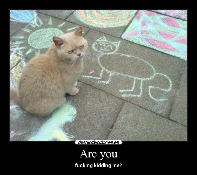 Are you - fucking kidding me?