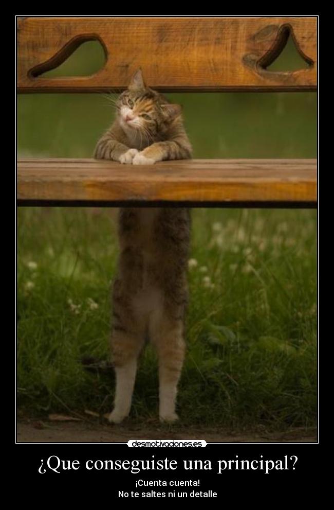 ¿Que conseguiste una principal? -